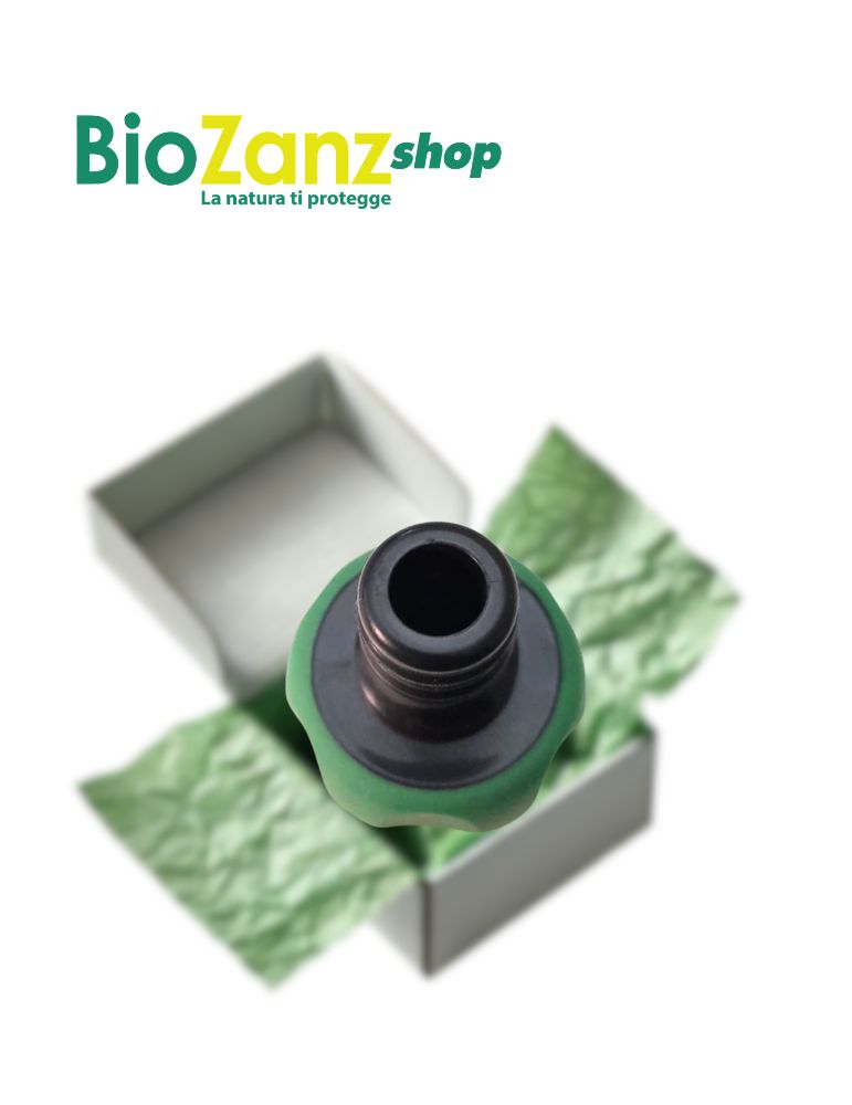 Ricambi Biozanz | Attacco Rapido 3/4 Verde Per Manichetta - 3031