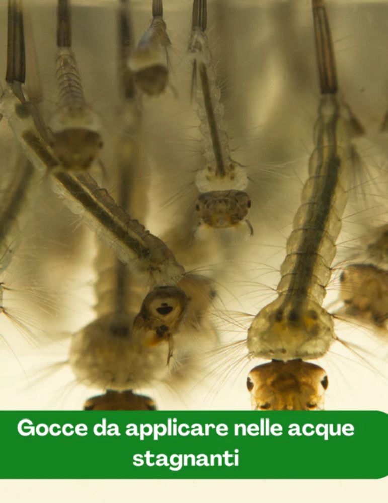 Insetticida Biologico Zanzare Bacillus Thuringiensis Lepidotteri | Mosquitorex - 7010