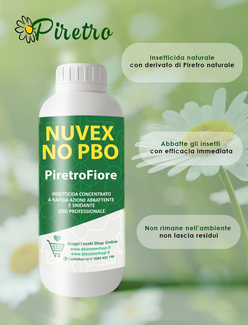 PiretroFiore Insetticida Naturale Piretro Concentrato Elimina Zanzare Mosche e Insetti Fastidiosi