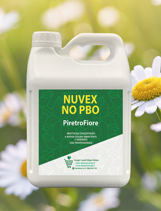 Piretro Fiore Insetticida Versione 5 litri