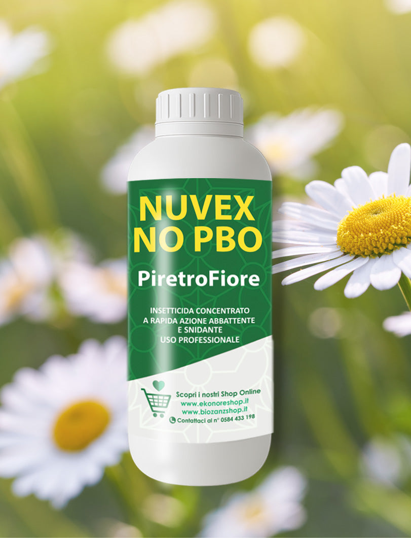 PiretroFiore Insetticida Naturale Piretro Concentrato abbattente insetti molesti